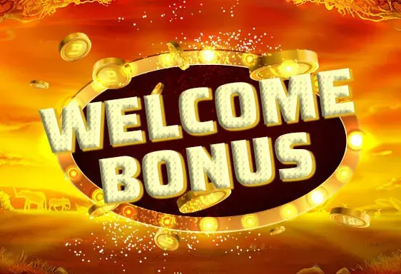 Free spins og bonus N1 casino